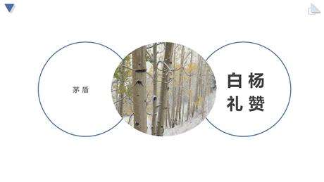 《白杨礼赞》PPT精品教学课件