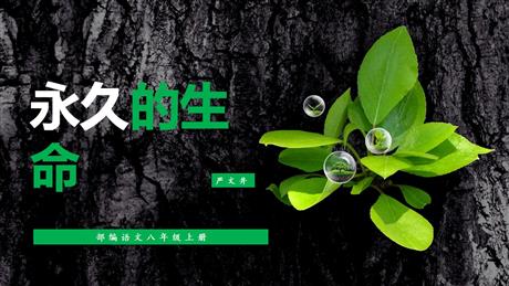 《永久的生命》PPT精品课件