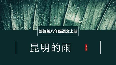 《昆明的雨》PPT课文课件