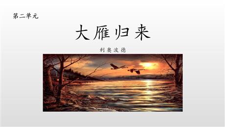 《大雁归来》PPT优质课件
