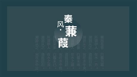 《蒹葭》PPT优质课件