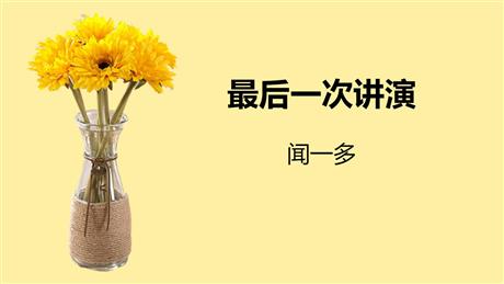 《最后一次讲演》PPT课文课件