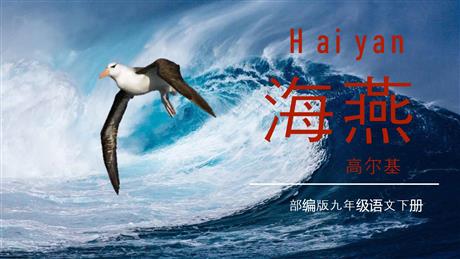 《海燕》PPT精品教学课件
