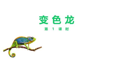 《变色龙》PPT精品课件(第1课时)