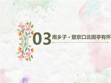 《南乡子·登京口北固亭有怀》PPT优秀课件