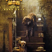 点击查看图片 神探狗笨吉 Benji