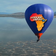 狂野非洲 African Safari