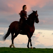 点击查看图片 远离尘嚣 Far From the Madding Crowd