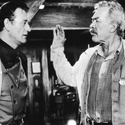 点击查看图片 搜索者 The Searchers