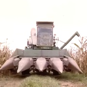 点击查看图片 玉米田的小孩2 Children of the Corn II: The Final Sacrifice