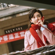 点击查看图片 乔家的儿女