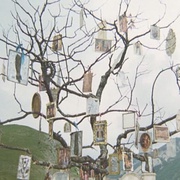 子夜的太阳 Il sole anche di notte