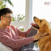 这个世界不看脸