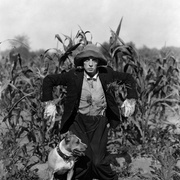 稻草人 The Scarecrow
