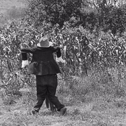 稻草人 The Scarecrow