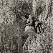日瓦戈医生 Doctor Zhivago