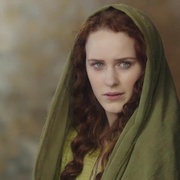 点击查看图片 养鸽人 The Dovekeepers