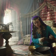 点击查看图片 养鸽人 The Dovekeepers