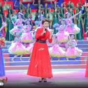 2021年辽宁卫视春节联欢晚会