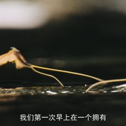 点击查看图片 打破边界:我们星球的科学 Breaking Boundaries: The Science of Our Planet