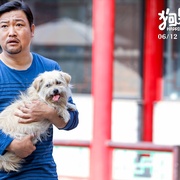 狗果定理