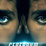 点击查看图片 记忆误区 Cerebrum
