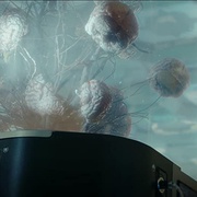 点击查看图片 极乐 Bliss