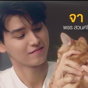 亲朋密友 Close Friend