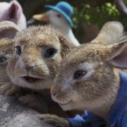点击查看图片 比得兔2:逃跑计划 Peter Rabbit 2: The Runaway