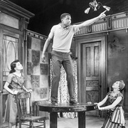 阳光下的葡萄干 A Raisin in the Sun