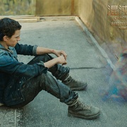 点击查看图片 混沌行走 Chaos Walking
