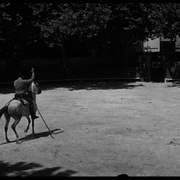 十面埋伏擒蛟龙 Behold a Pale Horse