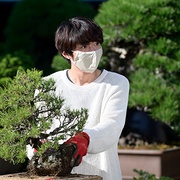 和田家的男人们 和田家の男たち