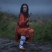 点击查看图片 功夫 Kung Fu
