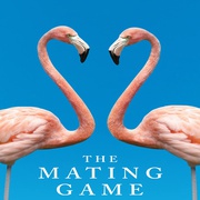 求偶游戏 The Mating Game