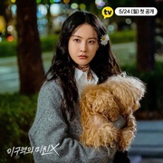 不疯不狂不爱你 이 구역의 미친X
