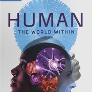 人类：体内的世界 Human: The World Within