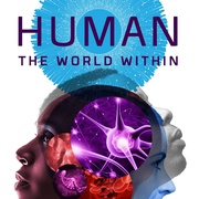 人类：体内的世界 Human: The World Within