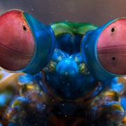 点击查看图片 小小世界 第二季 Tiny World Season 2
