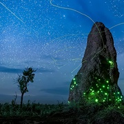 夜色中的地球 第二季 Earth at Night in Color Season 2
