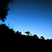 夜色中的地球 第二季 Earth at Night in Color Season 2