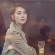 完美伴侣