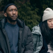 点击查看图片 天鹅挽歌 Swan Song
