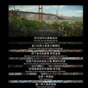 点击查看图片 芬奇 Finch