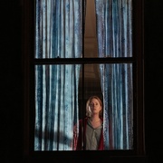 窗里的女人 The Woman in the Window