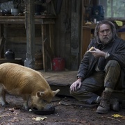 救猪行动 Pig