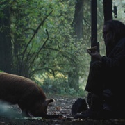 救猪行动 Pig