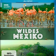 墨西哥：地球生命的狂欢 Mexico: Earth's Festival Of Life