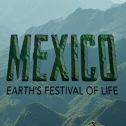 墨西哥：地球生命的狂欢 Mexico: Earth's Festival Of Life