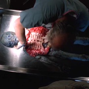 X档案 第四季 The X-Files Season 4
